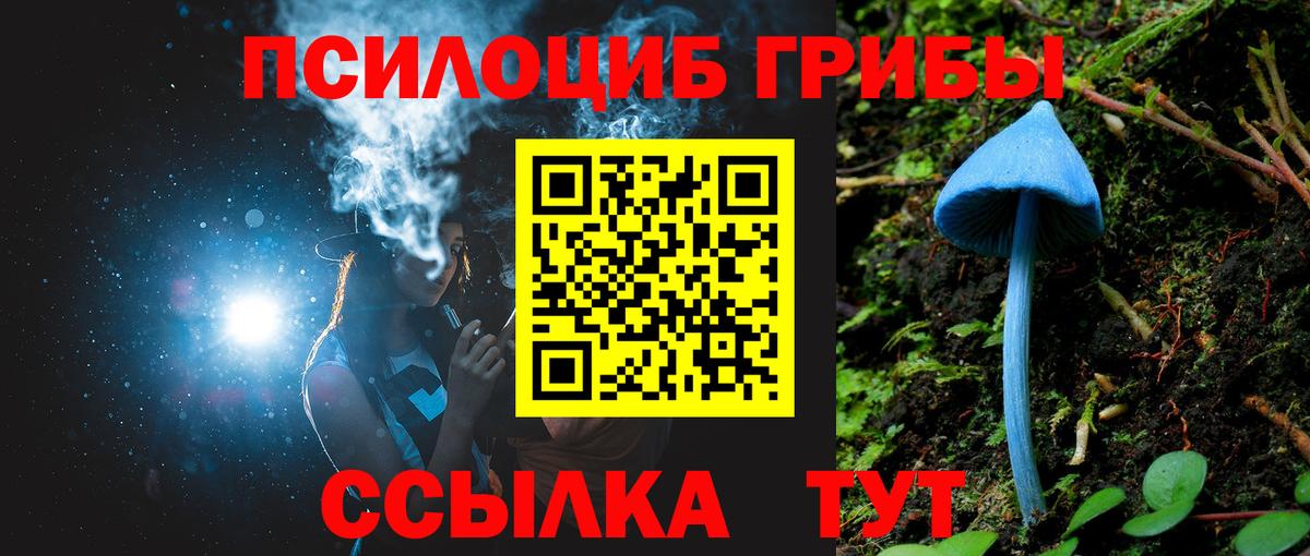 Псилоцибиновые грибы прущие грибы Нерюнгри